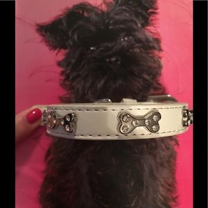 Collar White W/Rhinestone Bone Studs (S, M, L) NWOT